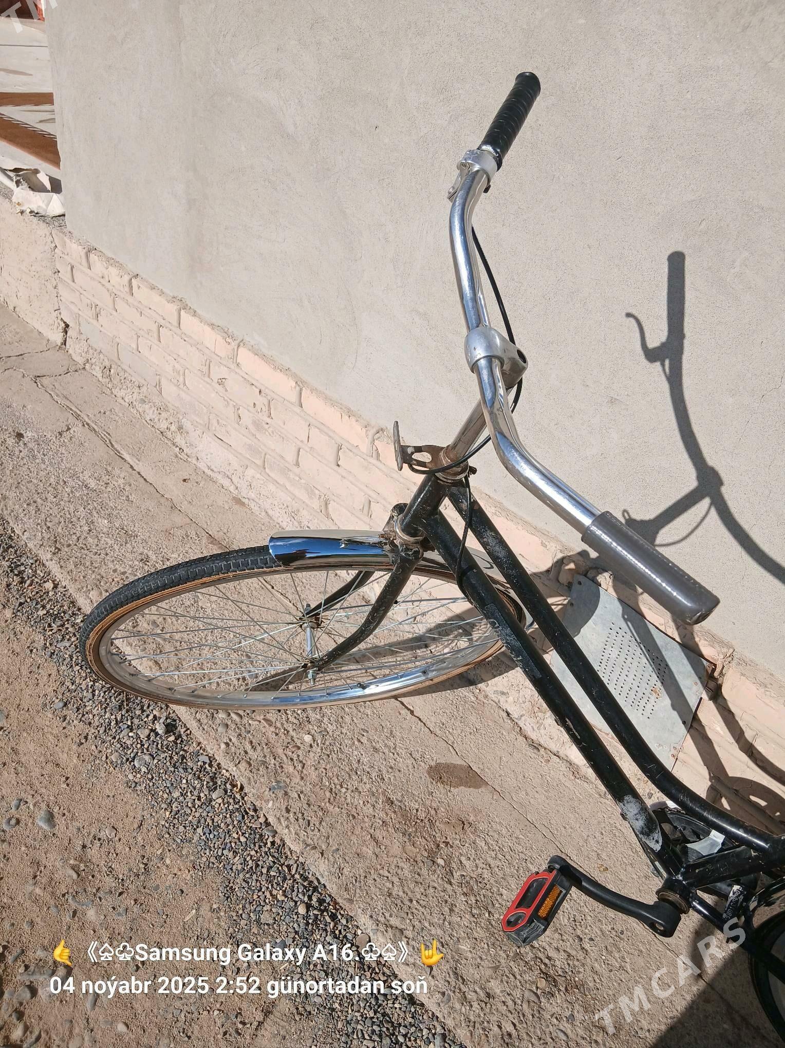 Welsepet - Mary - img 2