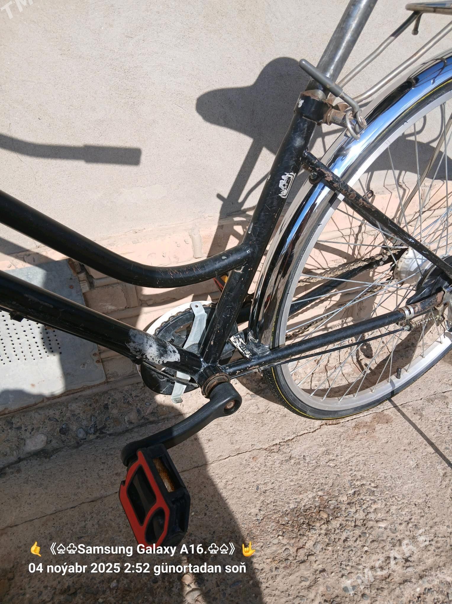 Welsepet - Mary - img 5