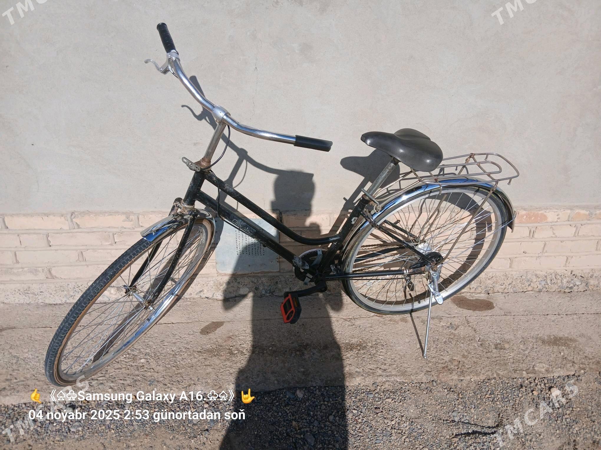 Welsepet - Mary - img 1