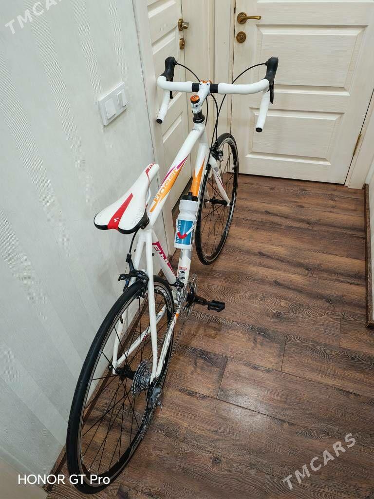 TIGIR FUJI - Ашхабад - img 2