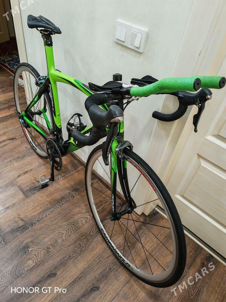 CARBON TIGIR RIDLEY - Ашхабад - img 2