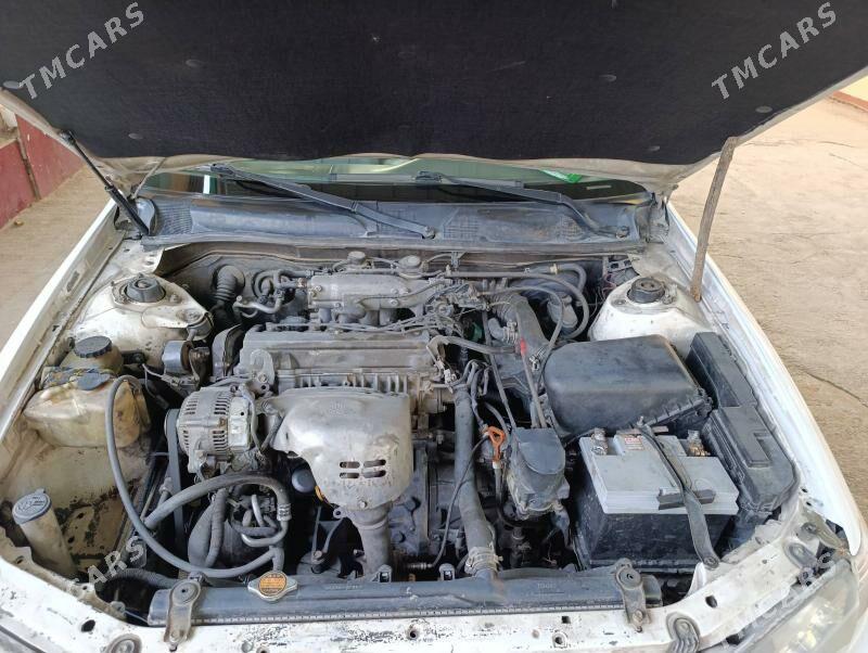 Toyota Camry 2000 - 128 000 TMT - Tejen - img 7