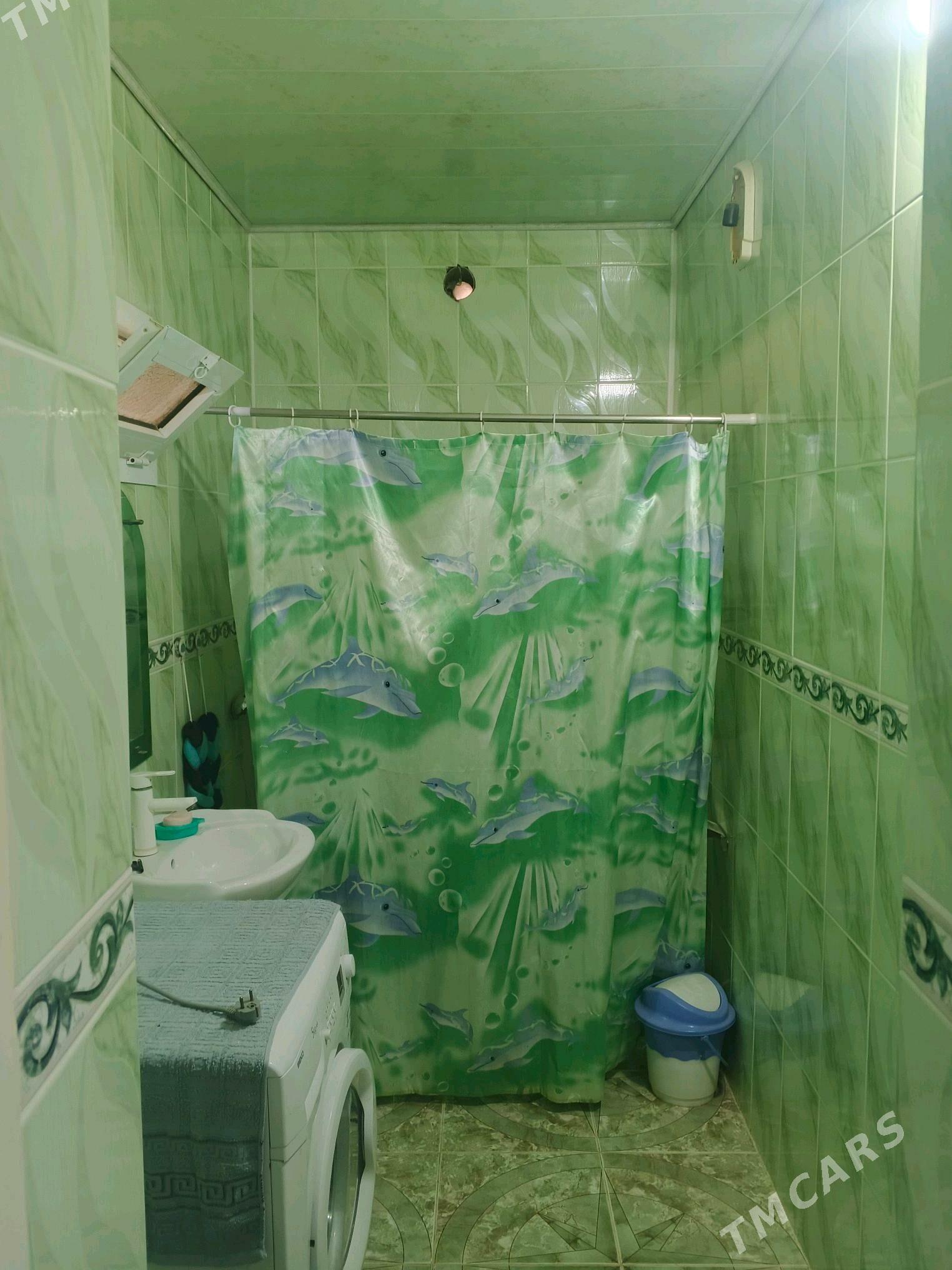 Jay - Gyzylarbat - img 5