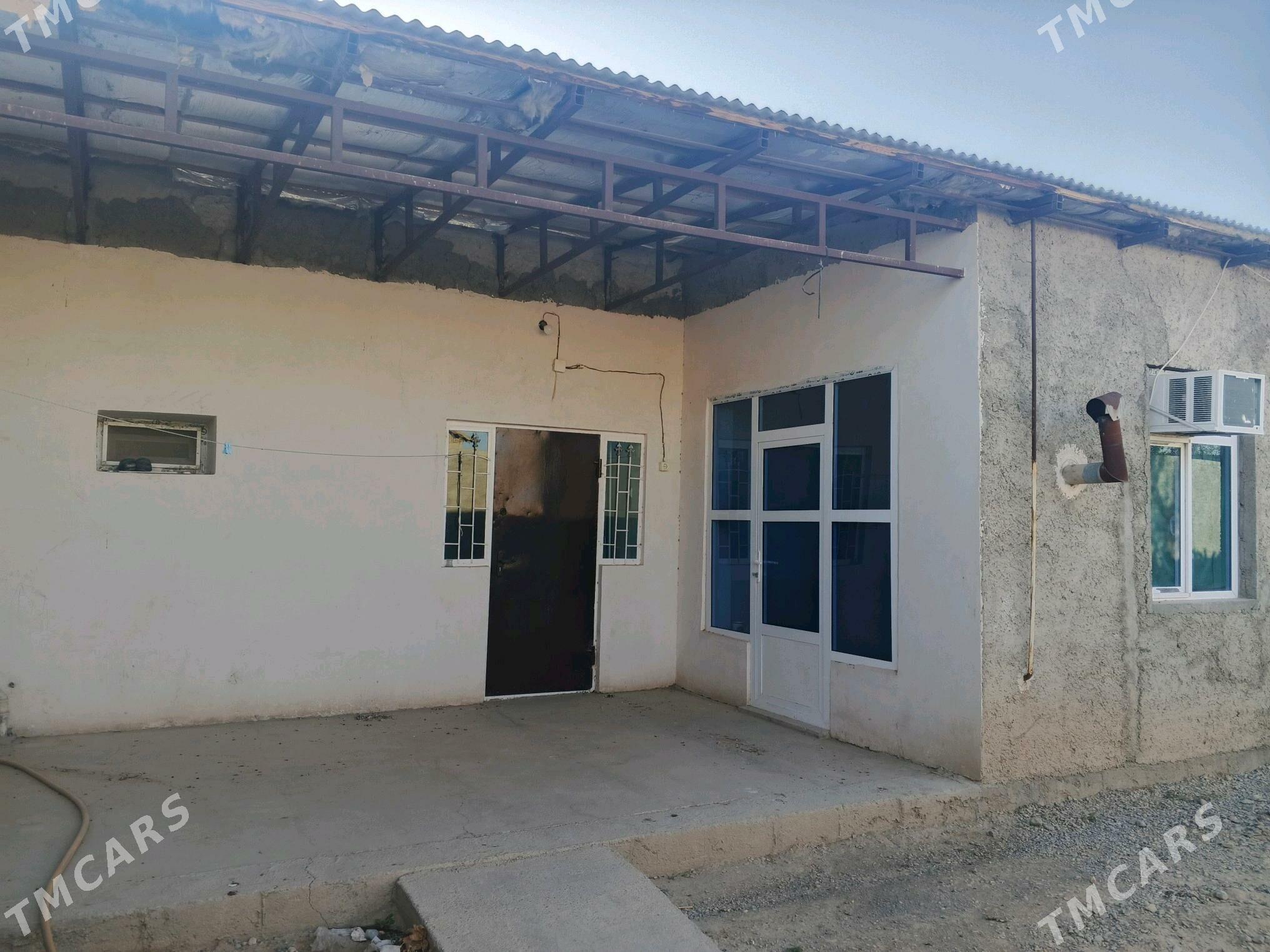 Jay - Gyzylarbat - img 4