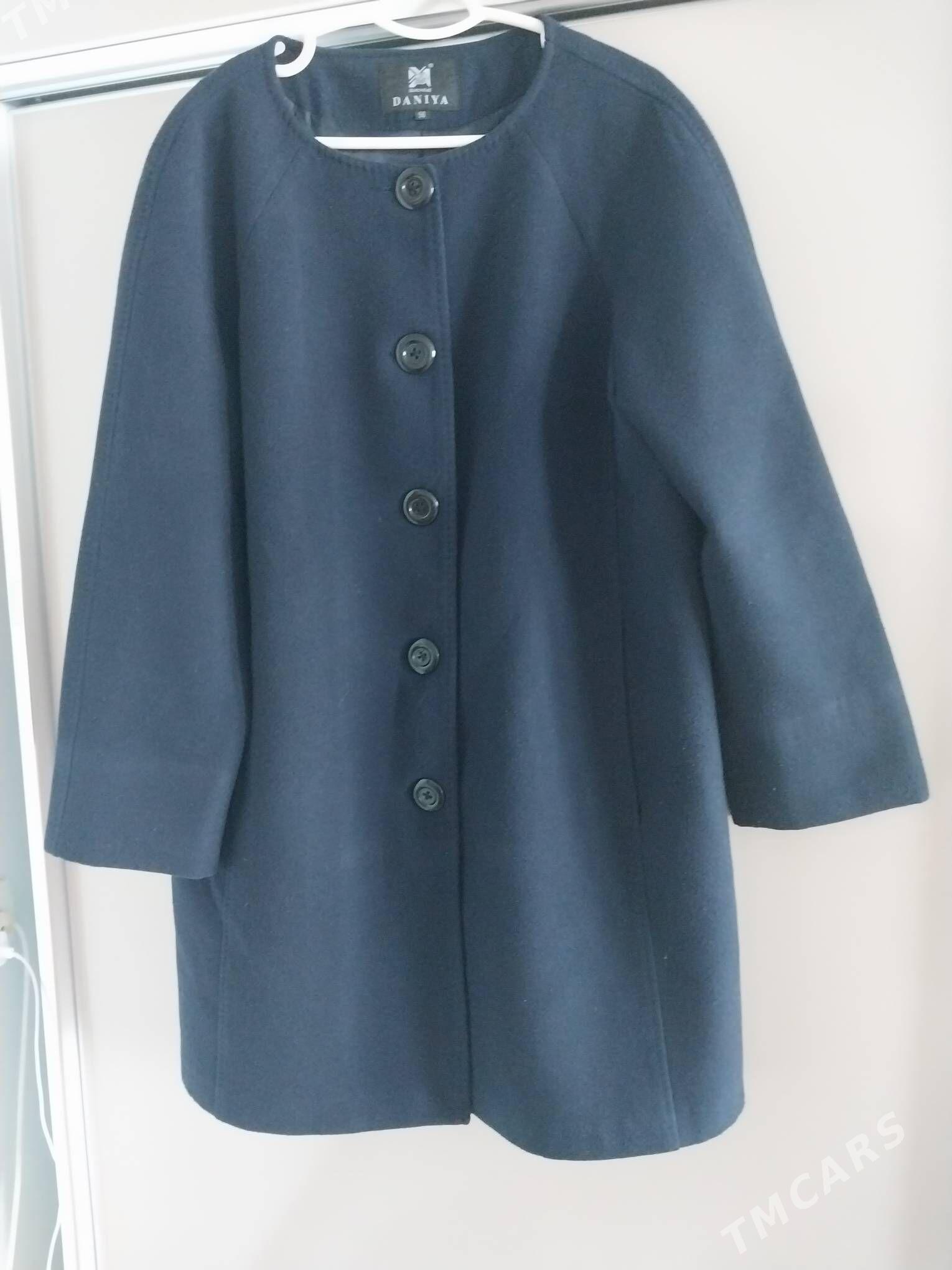 palto - Daşoguz - img 1