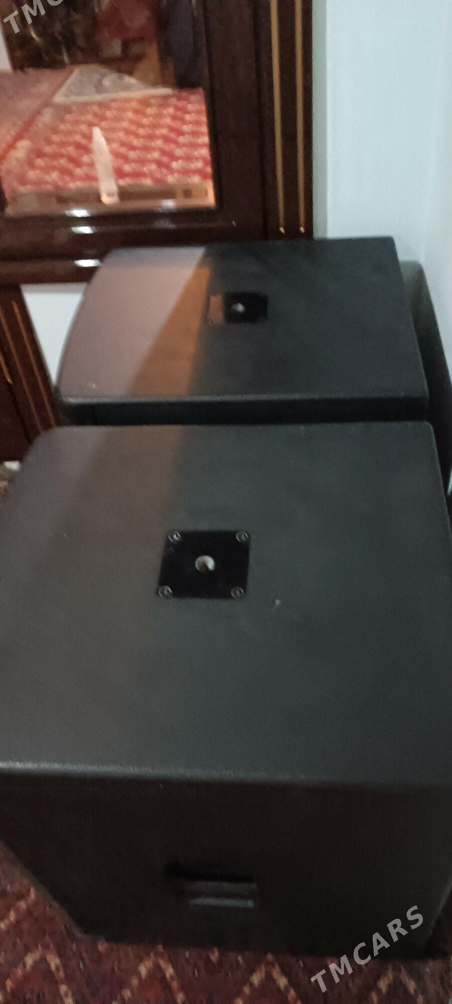 Dynacord niski - Mary - img 2