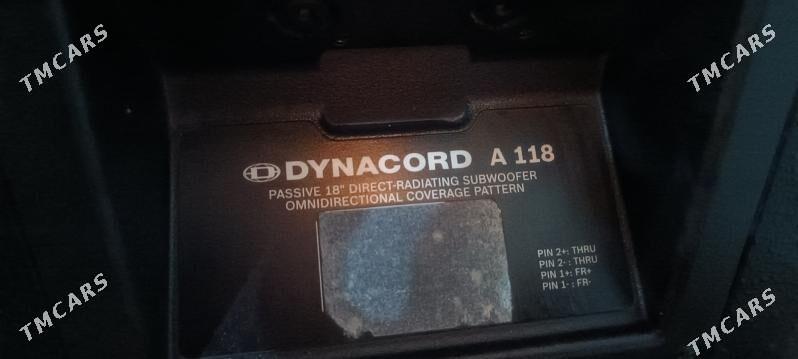 Dynacord niski - Mary - img 4