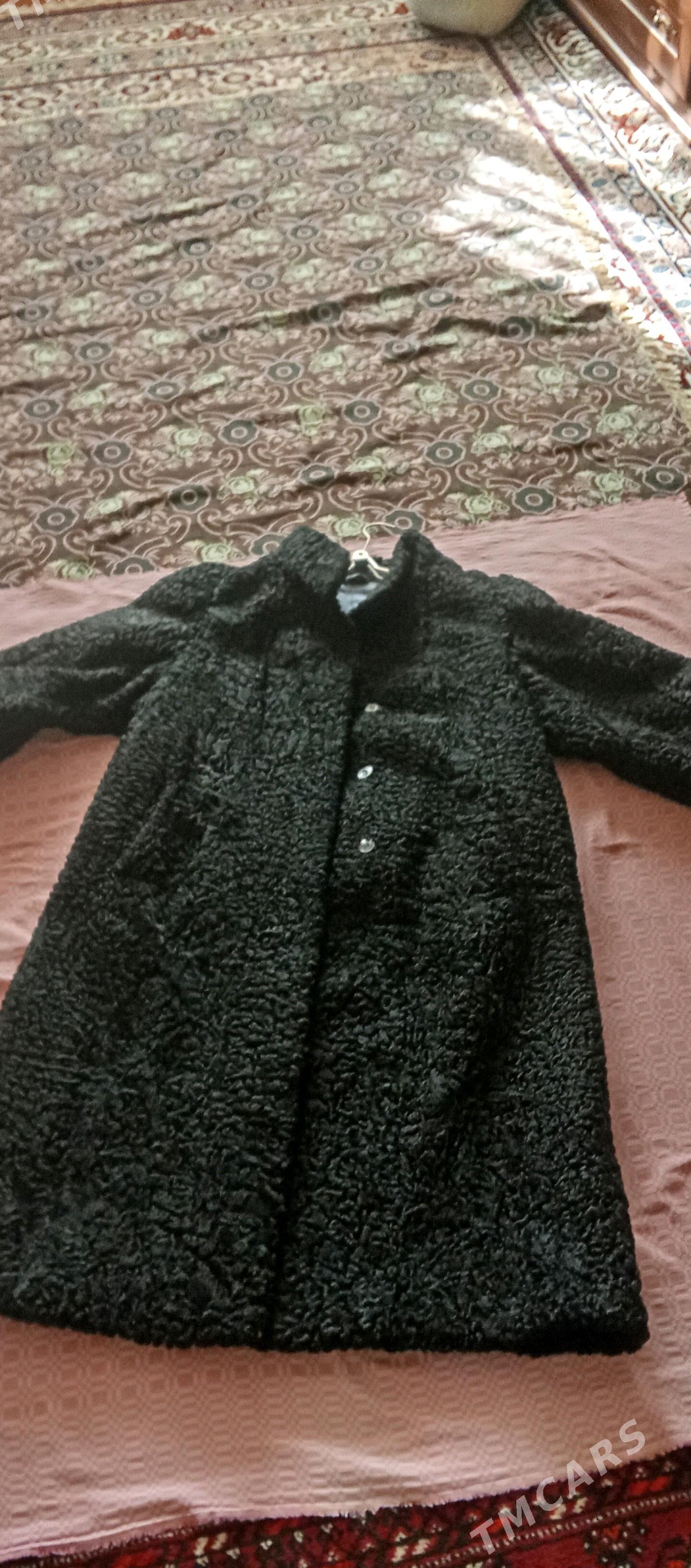 şuba - Туркменбаши - img 3