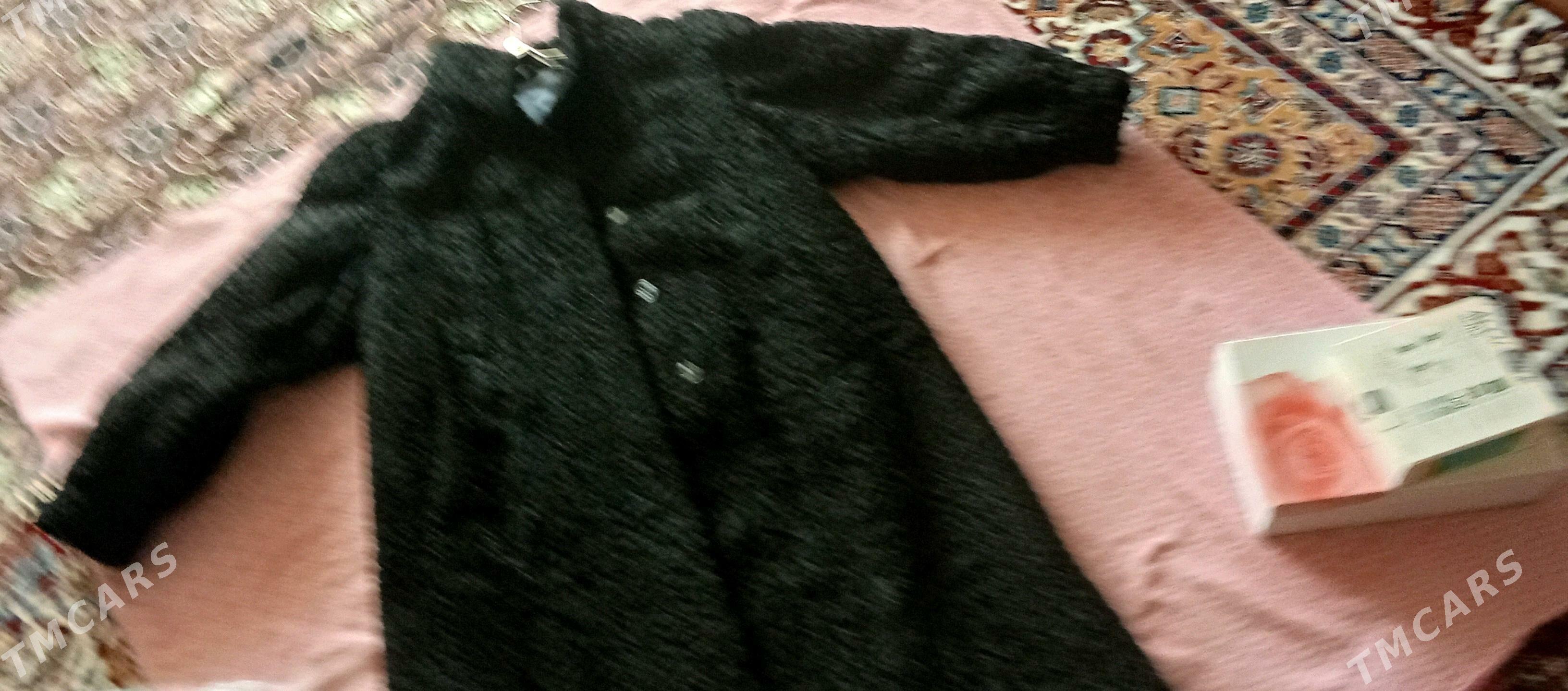 şuba - Туркменбаши - img 2