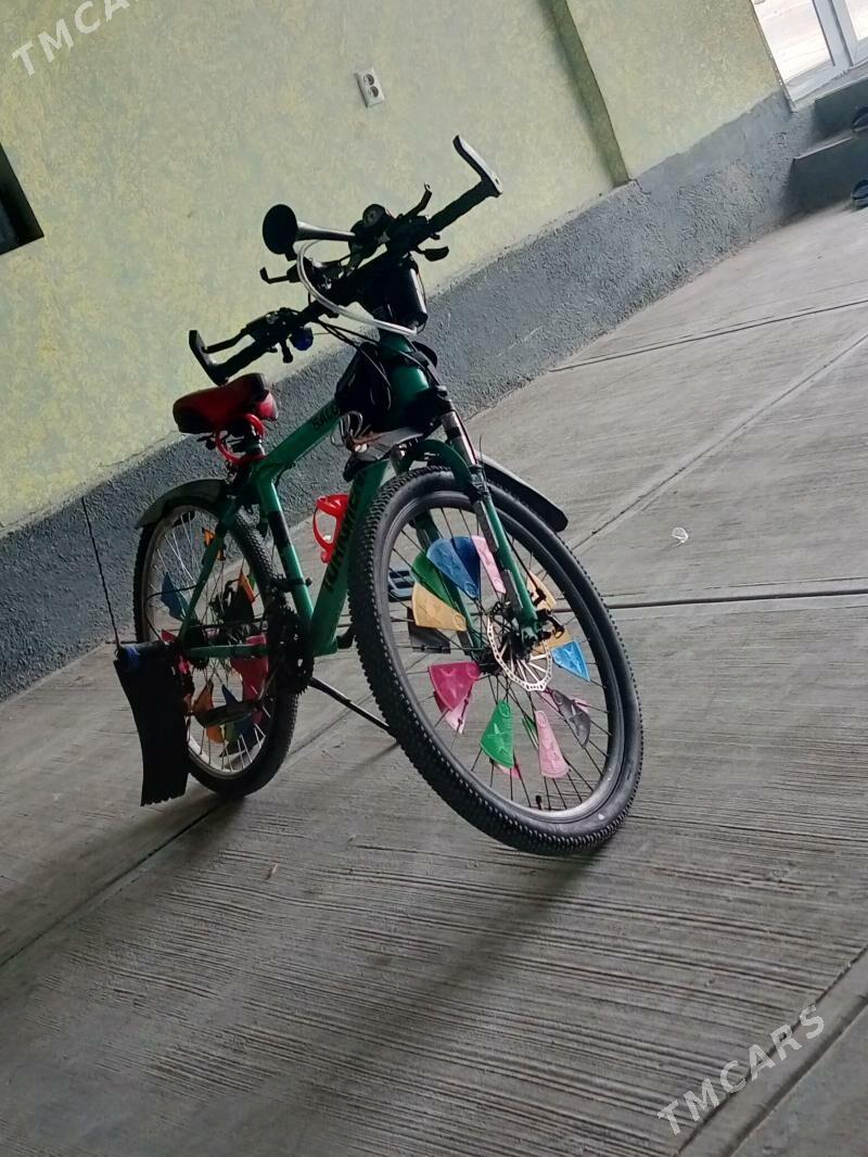 tigir - Büzmeýin GRES - img 2