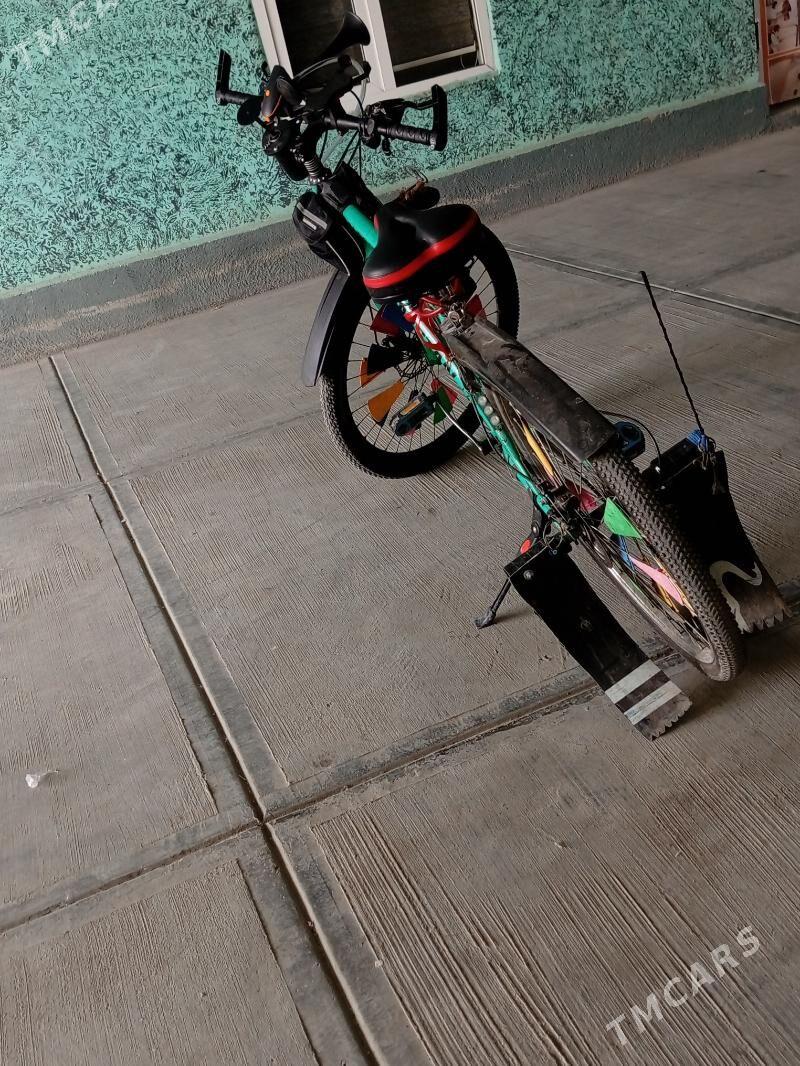 tigir - Büzmeýin GRES - img 1