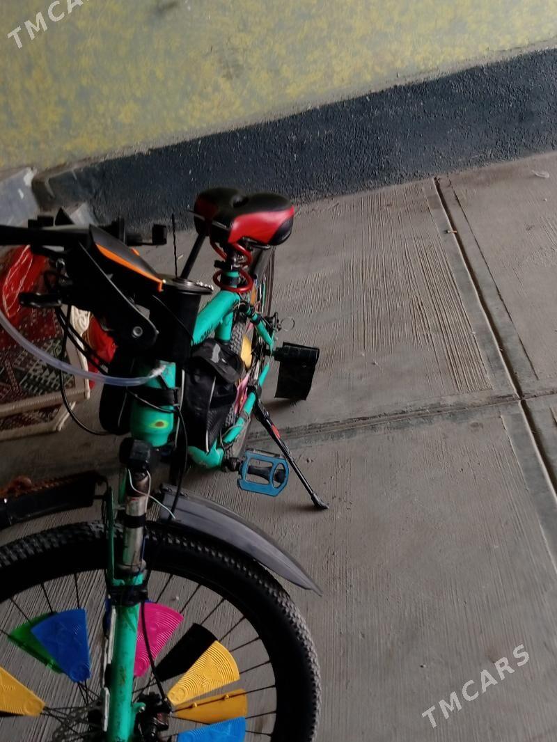 tigir - Büzmeýin GRES - img 3