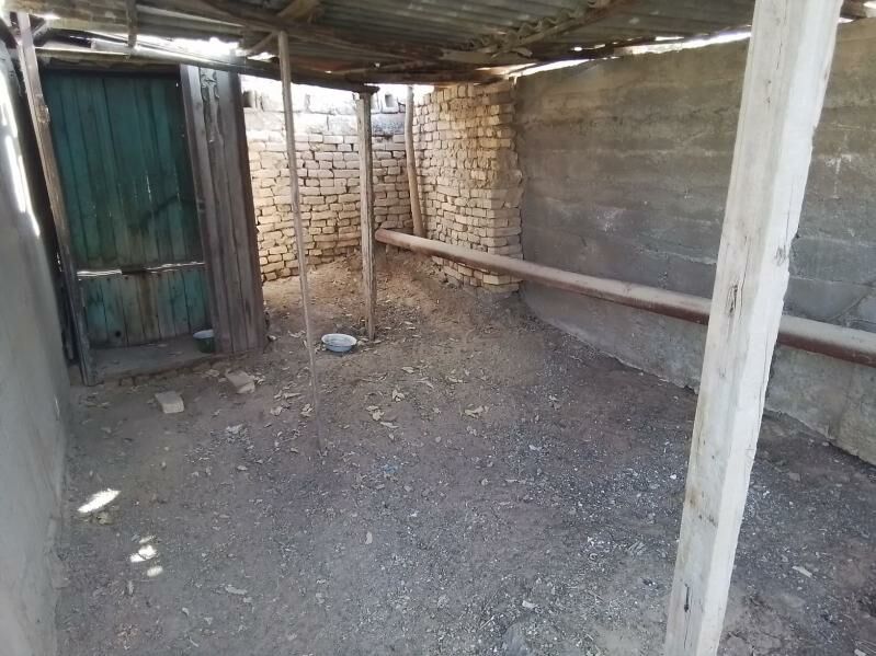 Daça satlyk. - Анев - img 7