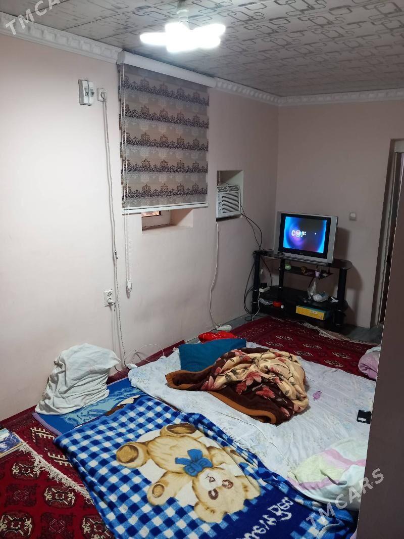 Satlyk jay - Mary - img 4