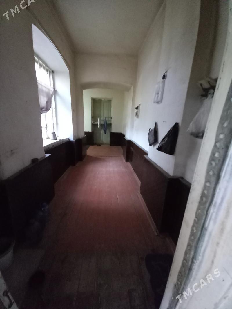 Satlyk jay - Mary - img 3