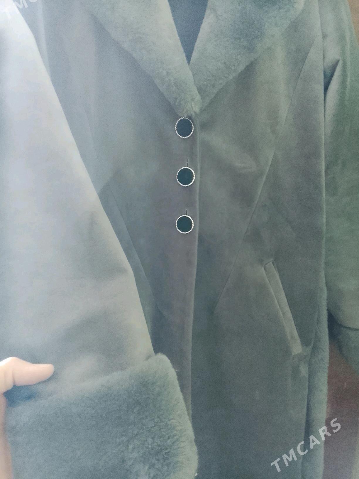 palto - Görogly (Tagta) - img 2