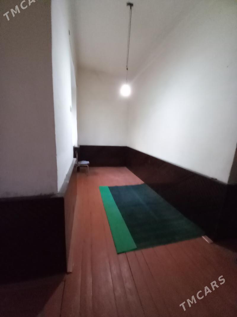 Satlyk jay - Mary - img 2