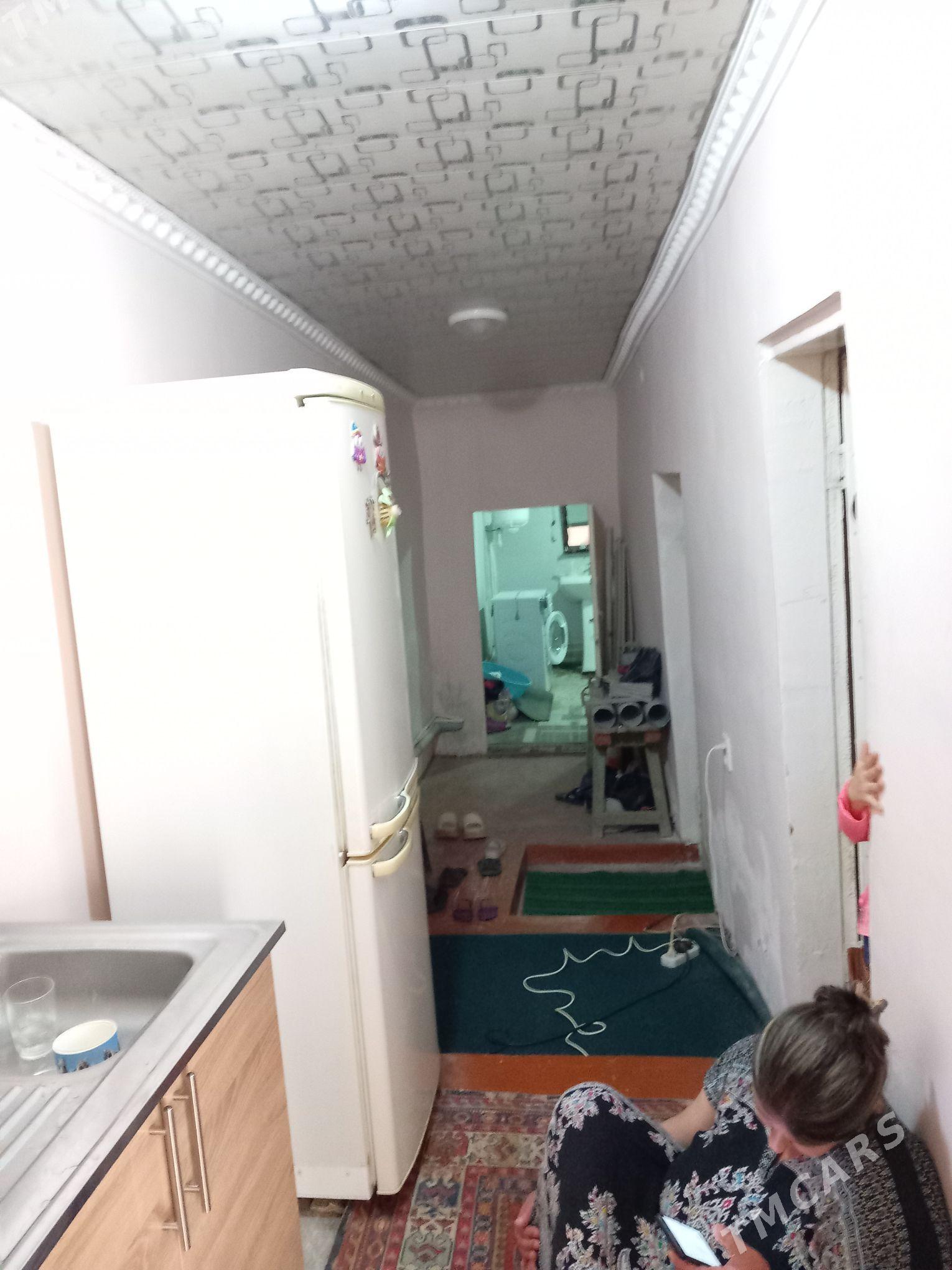 Satlyk jay - Mary - img 5