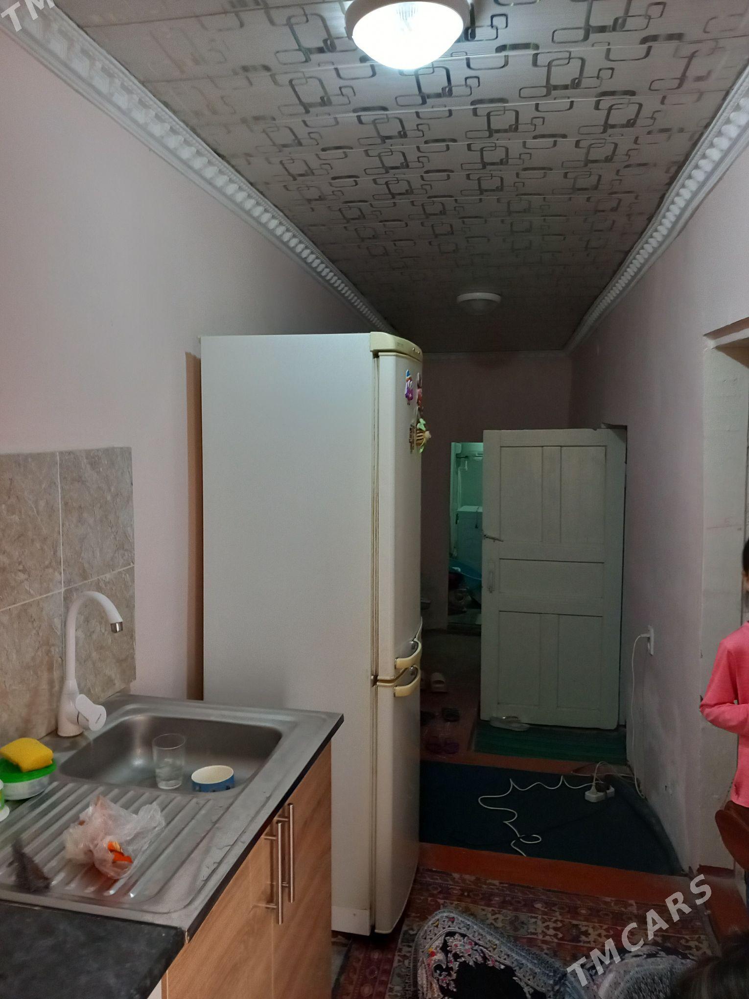 Satlyk jay - Mary - img 7