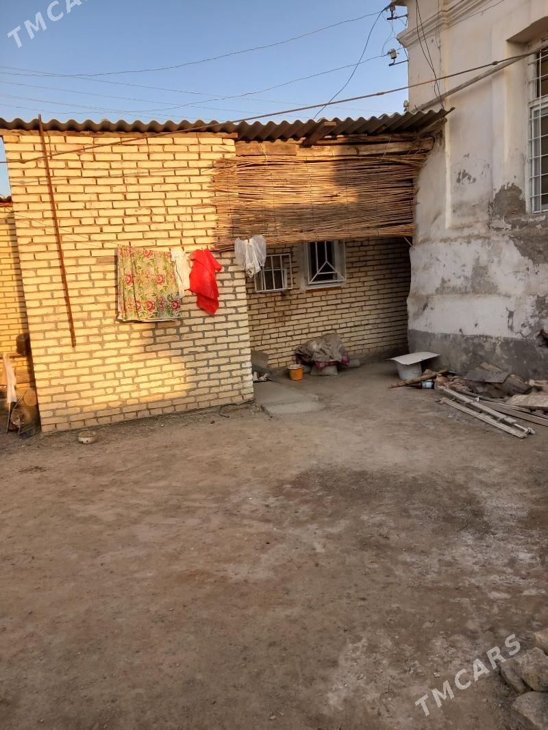 Satlyk jay - Mary - img 8