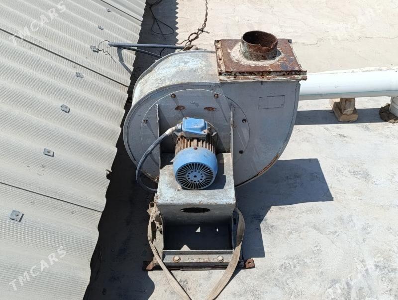 howalandrma - Jebel - img 2