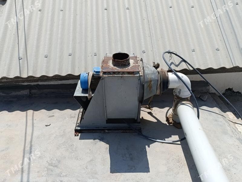 howalandrma - Jebel - img 1