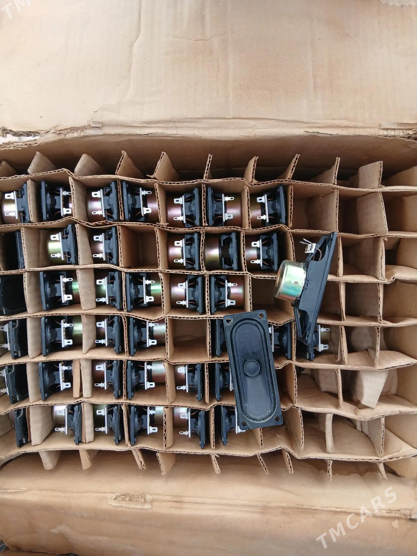 kalonka - Türkmenbaşy - img 1