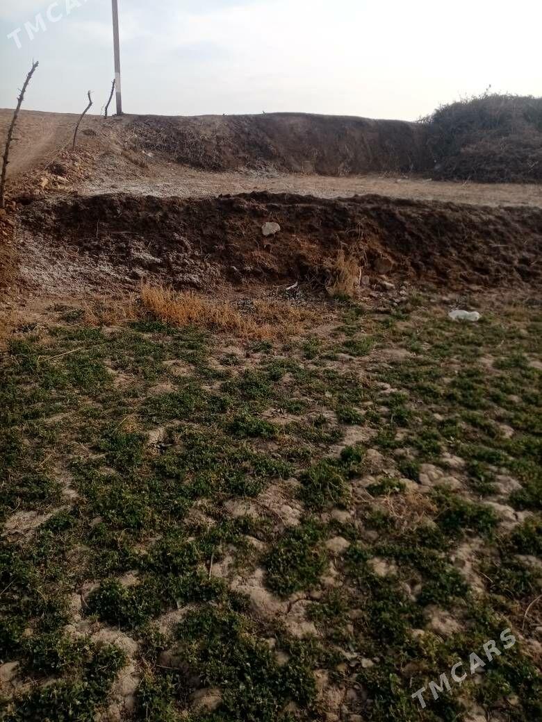 Satlyk mellek Boyunuzyn etrap - Dänew - img 2