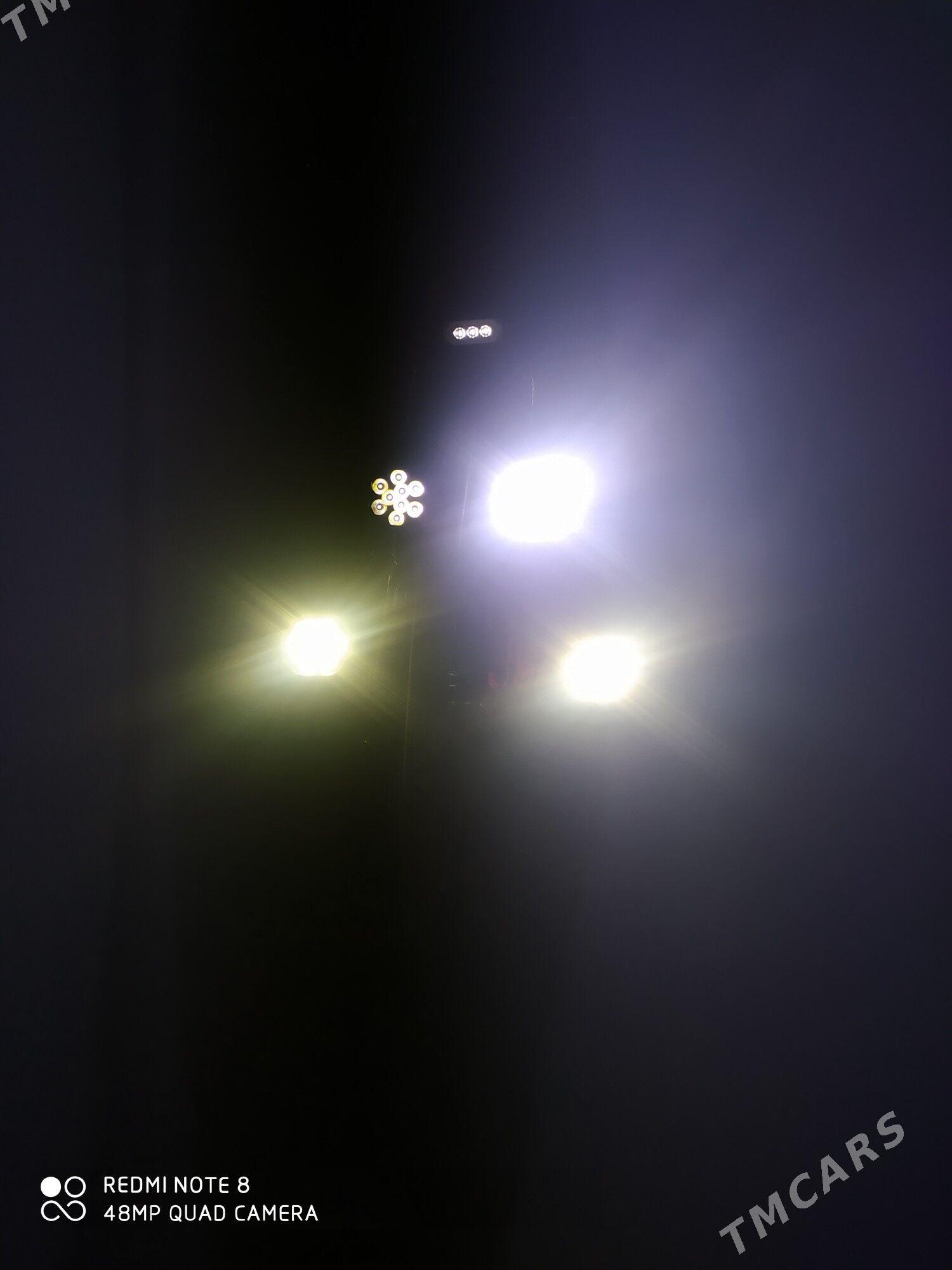 Tigir - Murgap - img 7