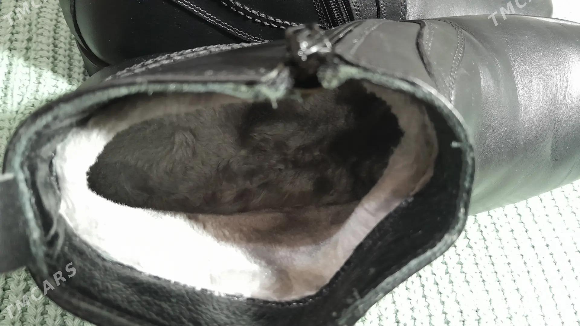 adik polsapog - Bedew - img 3