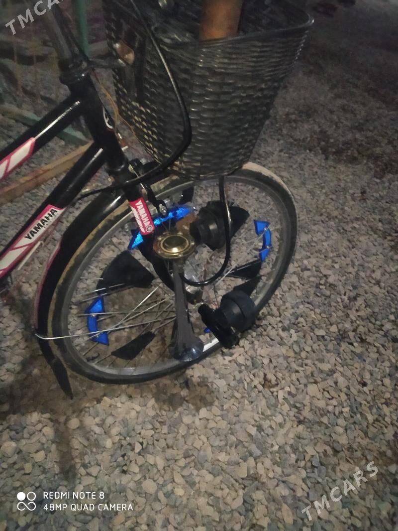 Tigir - Murgap - img 5