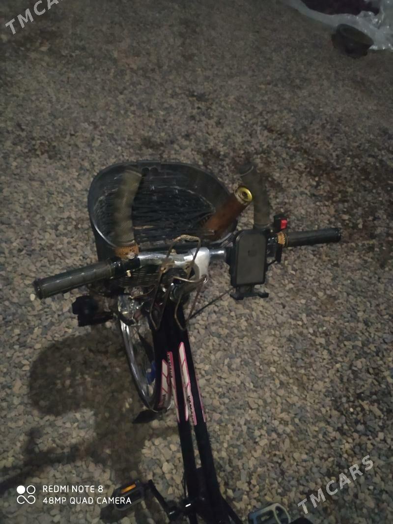 Tigir - Murgap - img 8