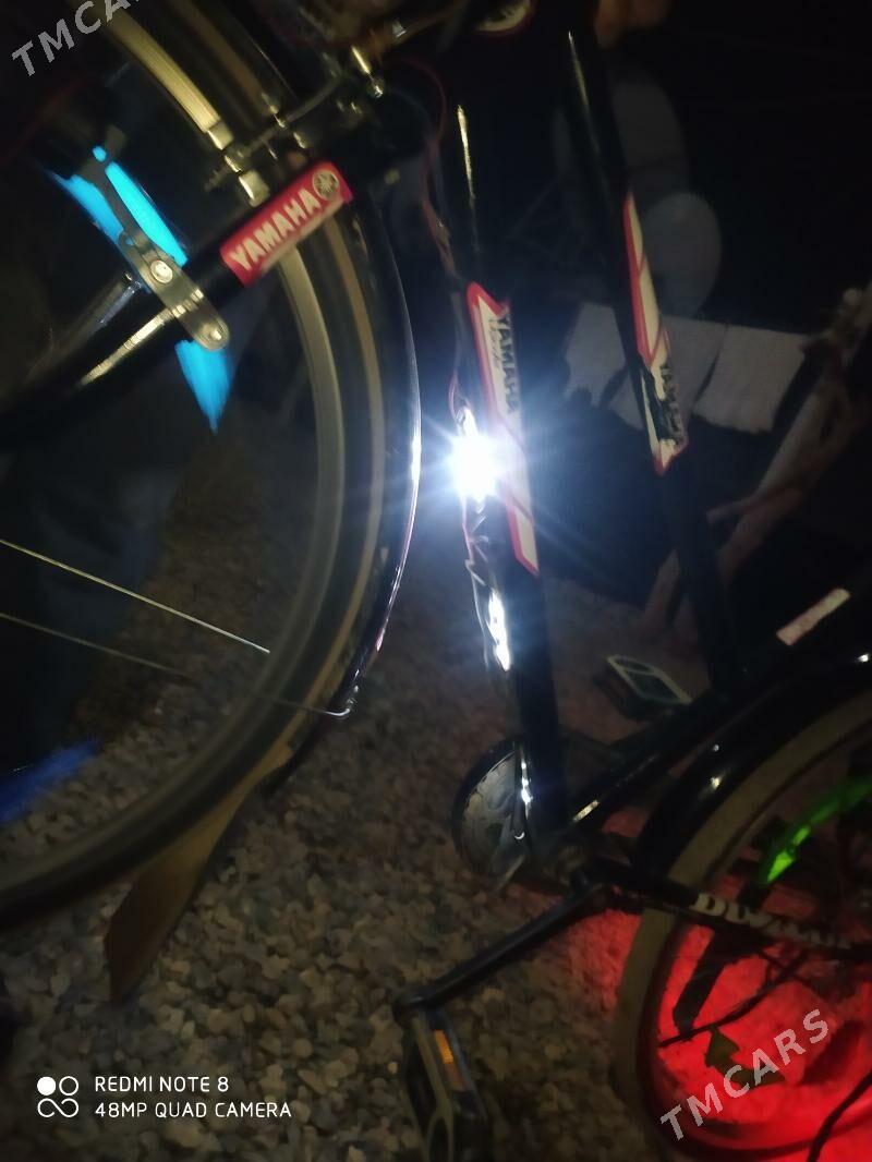 Tigir - Murgap - img 6