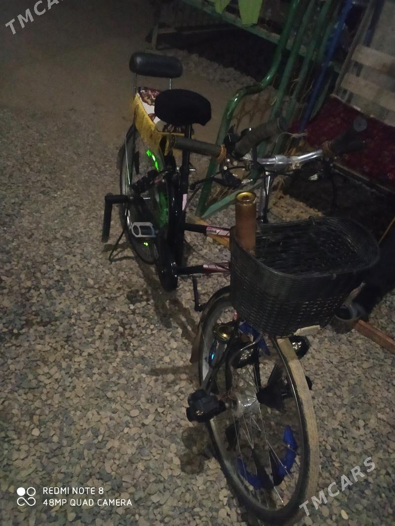 Tigir - Murgap - img 4