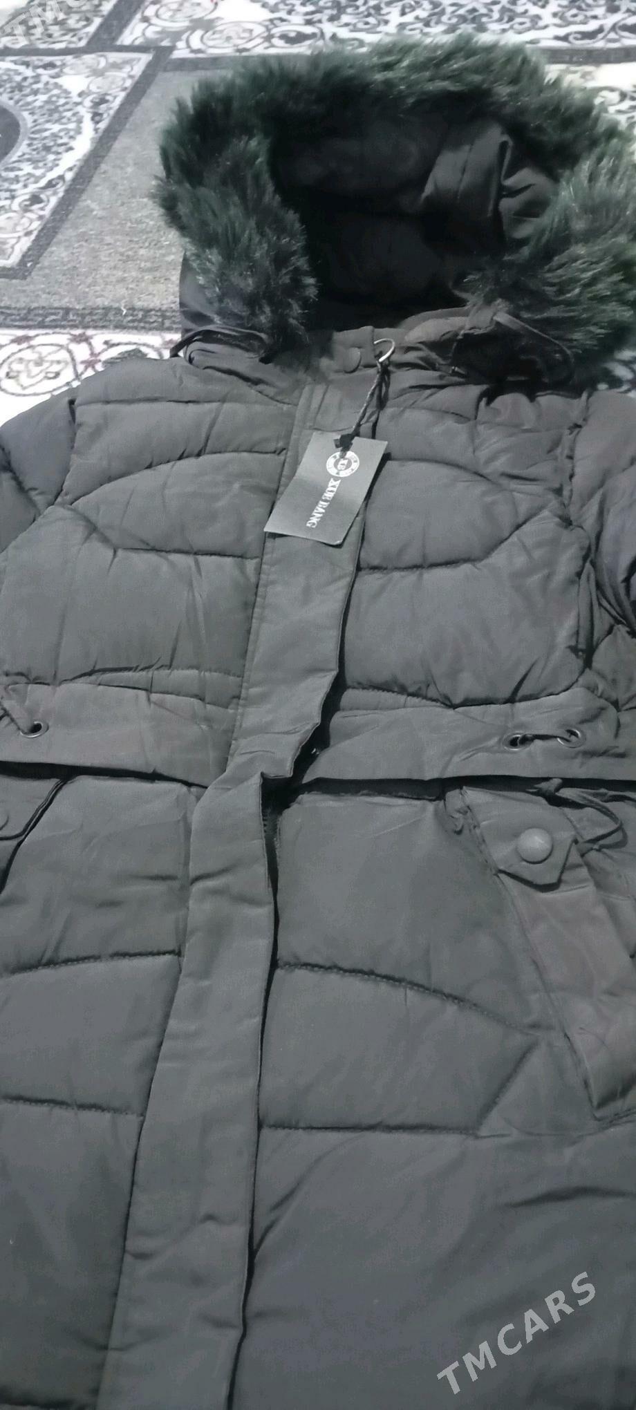 kurtga taze - Boldumsaz - img 1