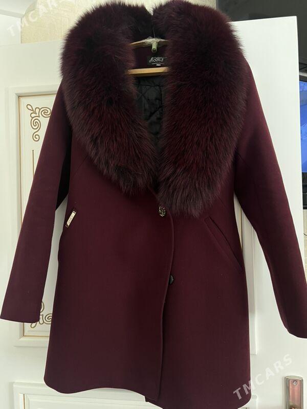 palto - Хазар - img 1