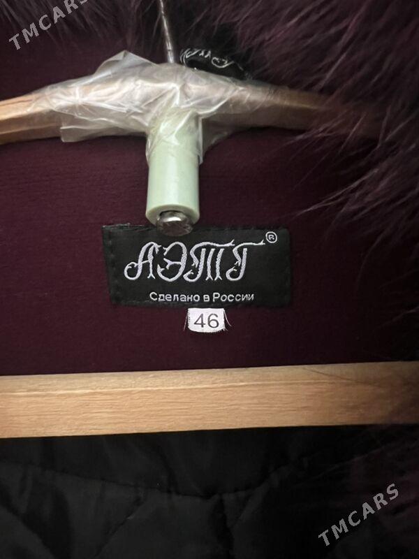 palto - Хазар - img 2