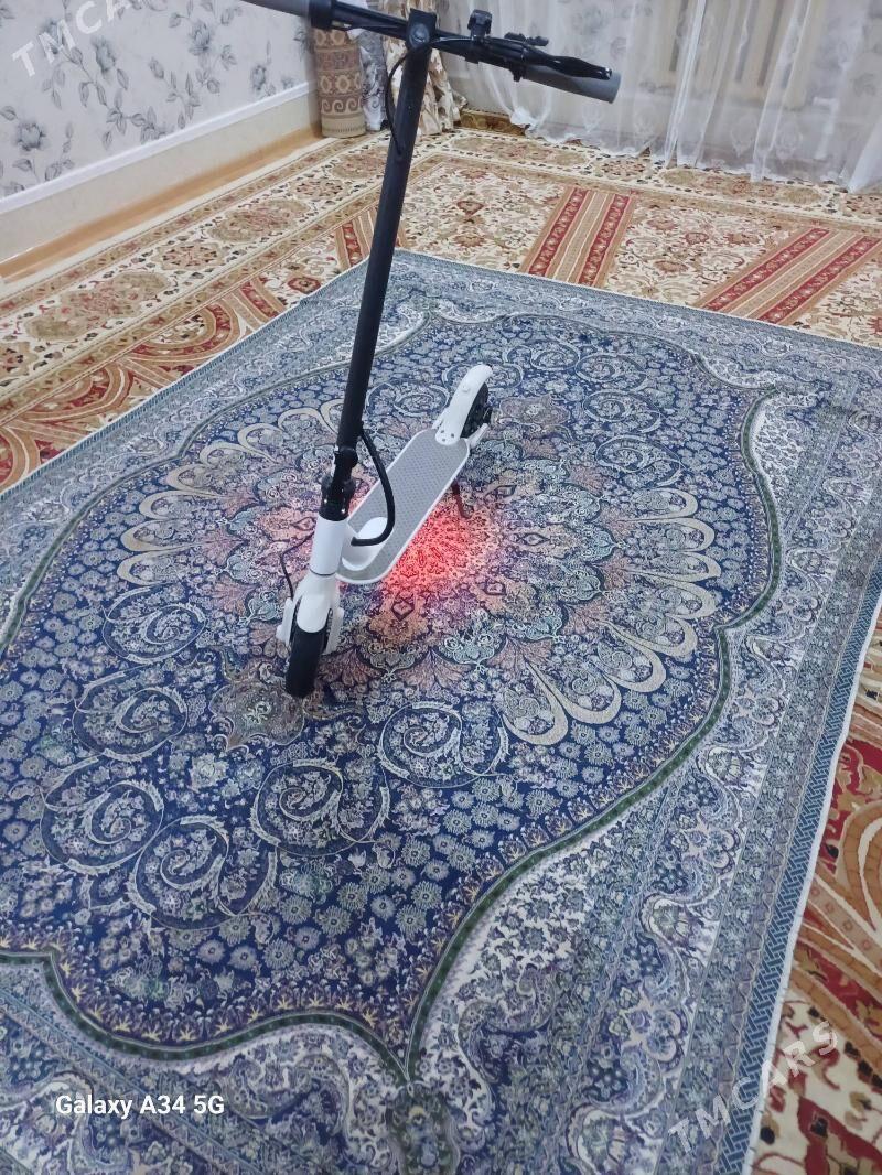 scooter - Sarahs - img 2