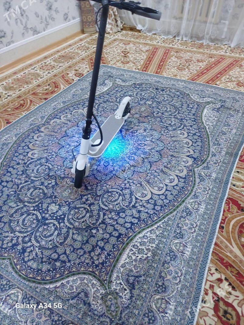 scooter - Sarahs - img 1