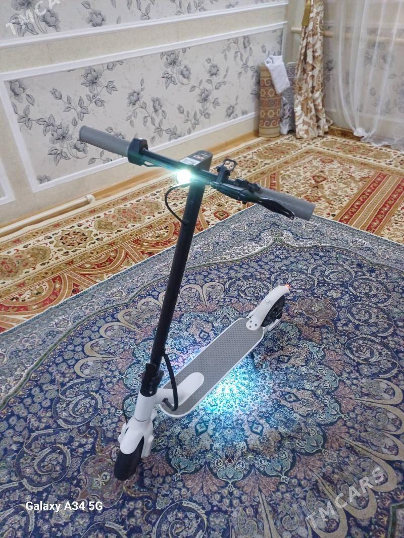 scooter - Sarahs - img 4