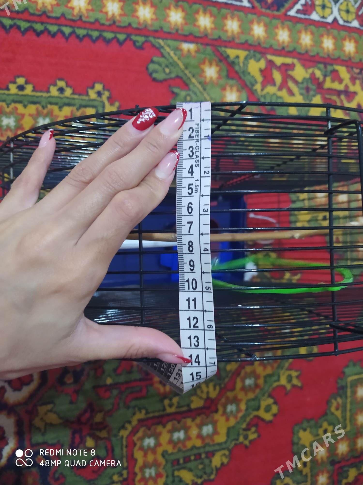 клетка - Ашхабад - img 1