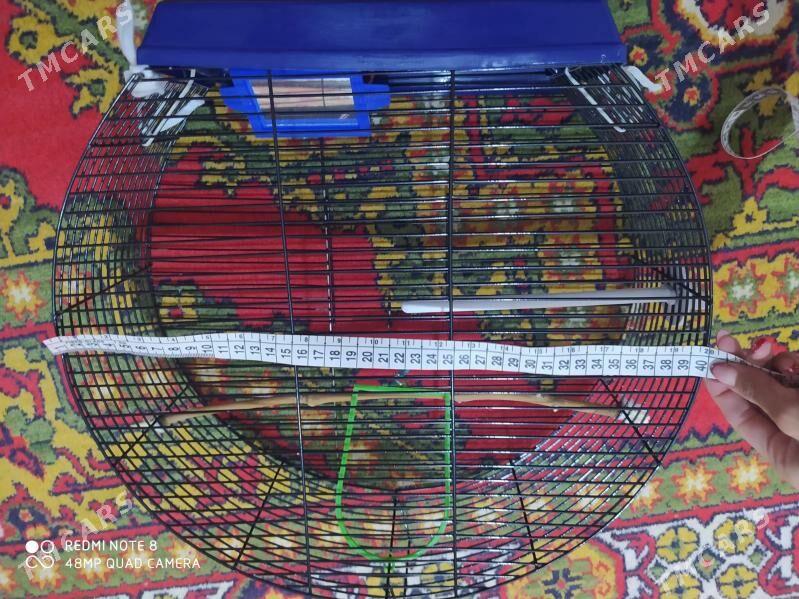 клетка - Ашхабад - img 3