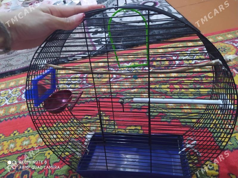 клетка - Ашхабад - img 2