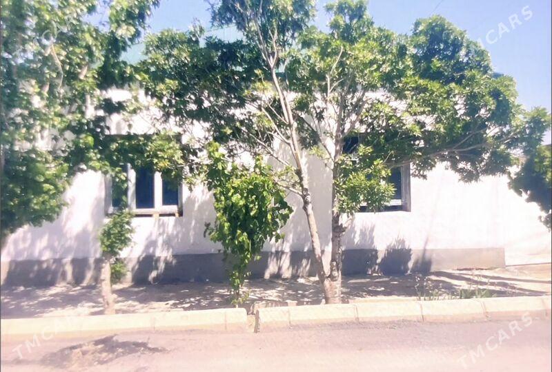 yalkym plan - Ýalkym - img 2