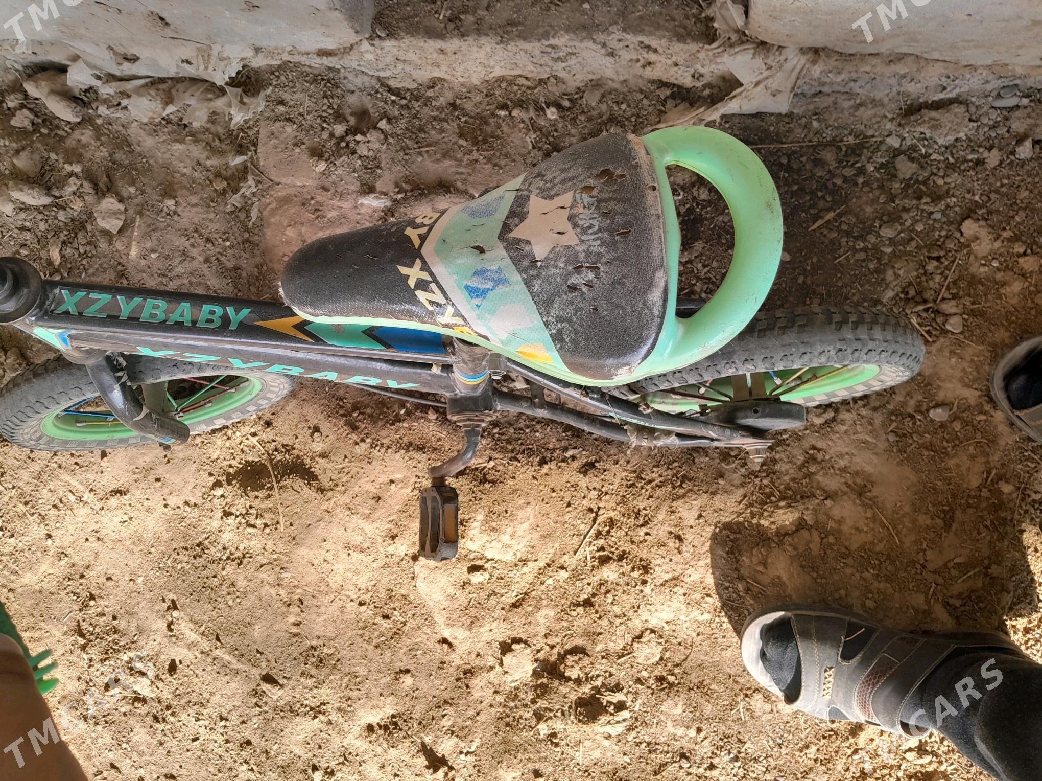 wesopet - Mary - img 1