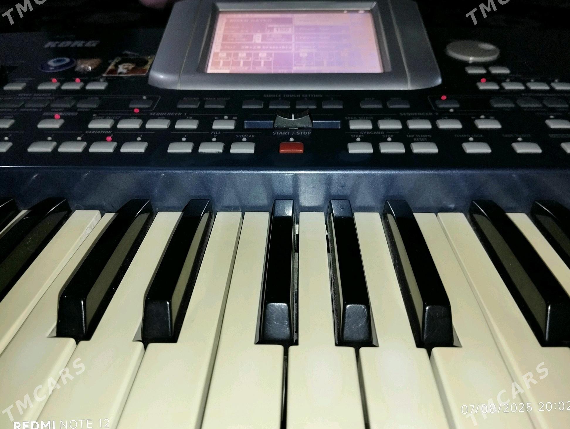 Korg Pa500 - Büzmeýin GRES - img 1