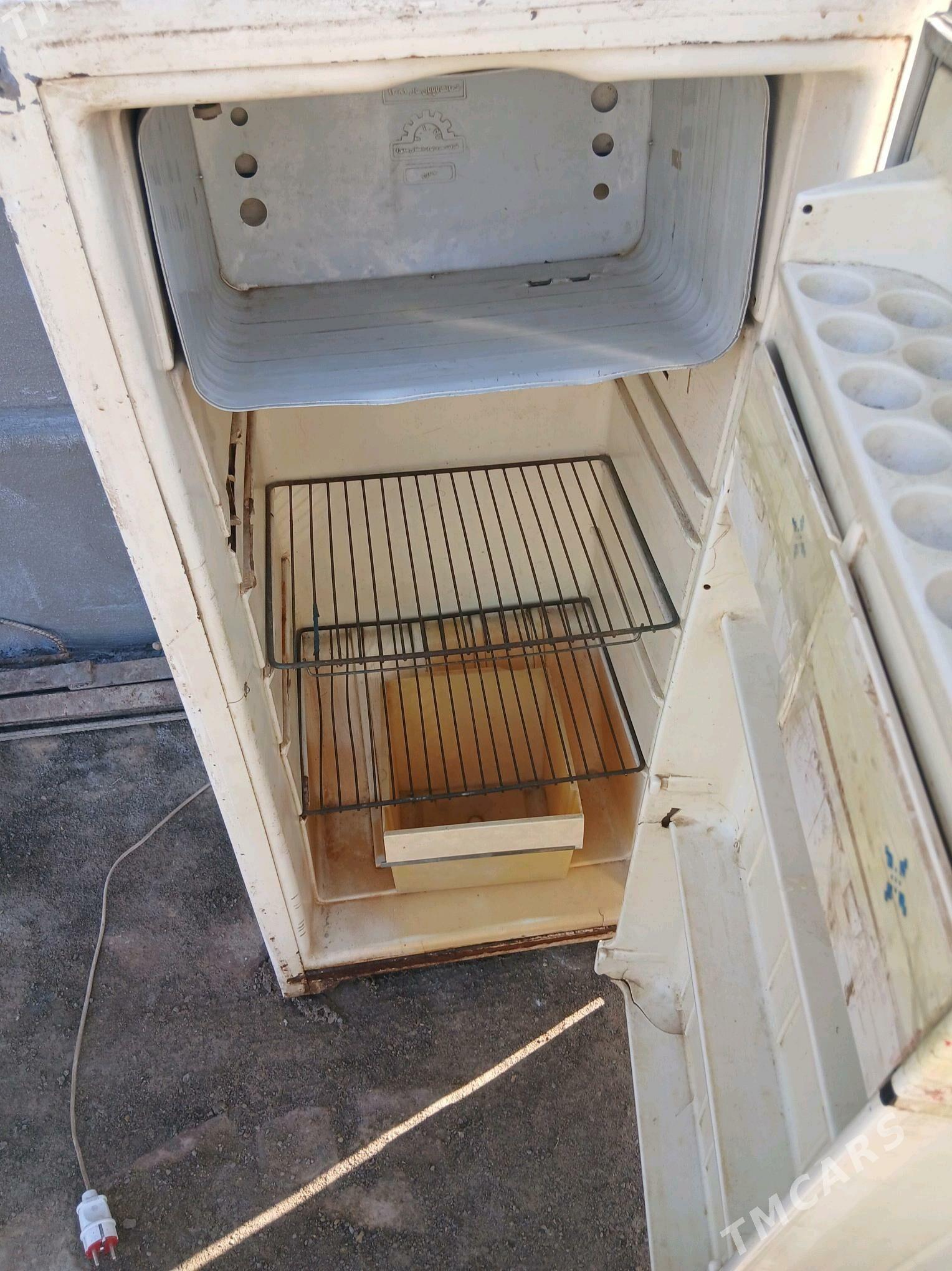 Holadinlik - Mary - img 2