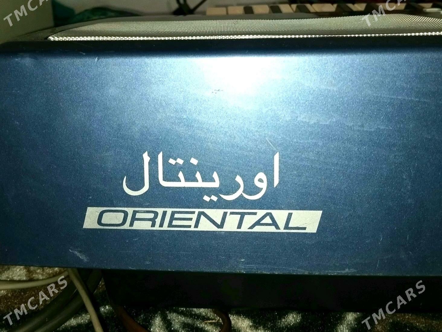 Korg Pa500 - Büzmeýin GRES - img 4