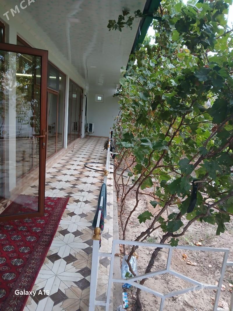 Aşgabat Çoganly - Чоганлы - img 6