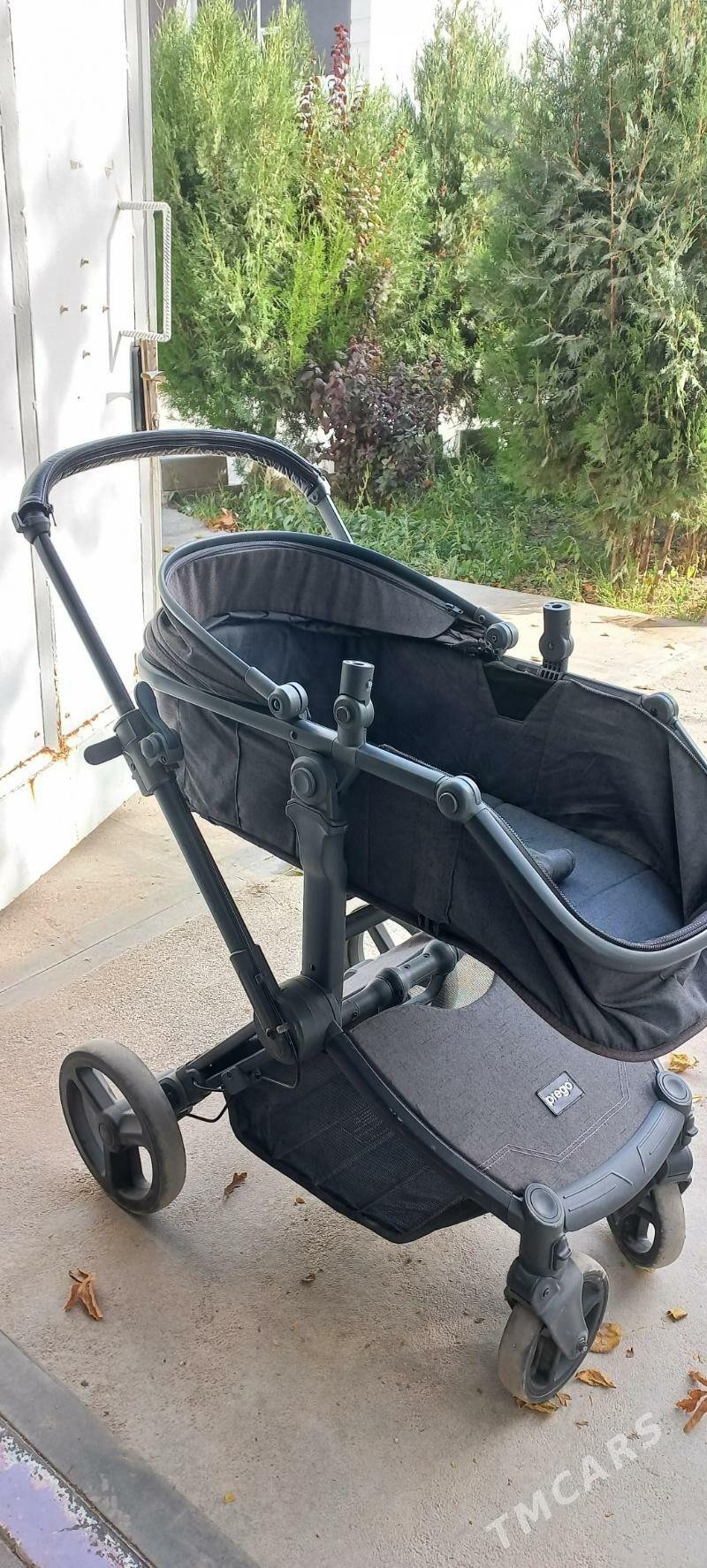 uzun kalyaska govy ỳagdaỳy - Mary - img 2